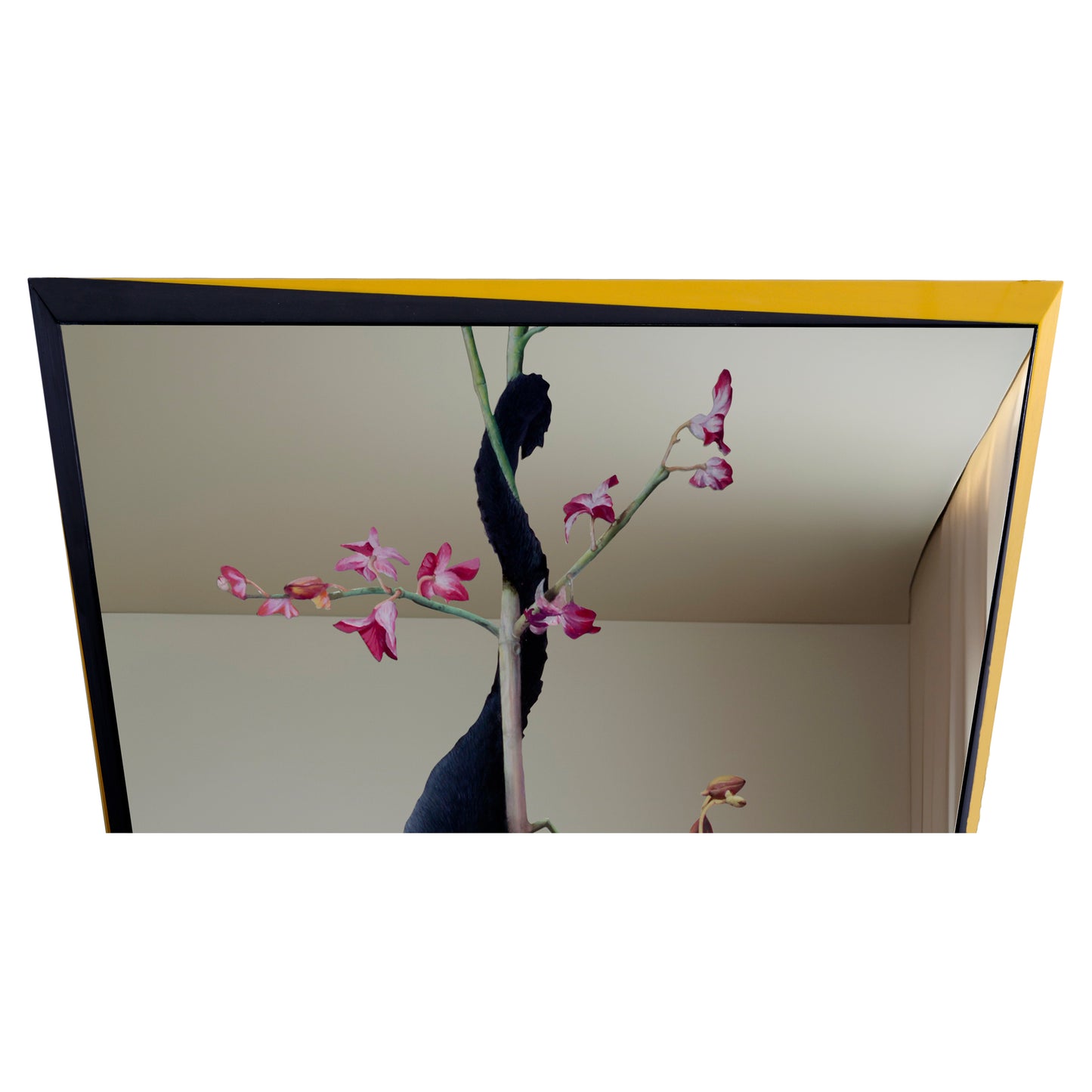 Incontri Inaspettati