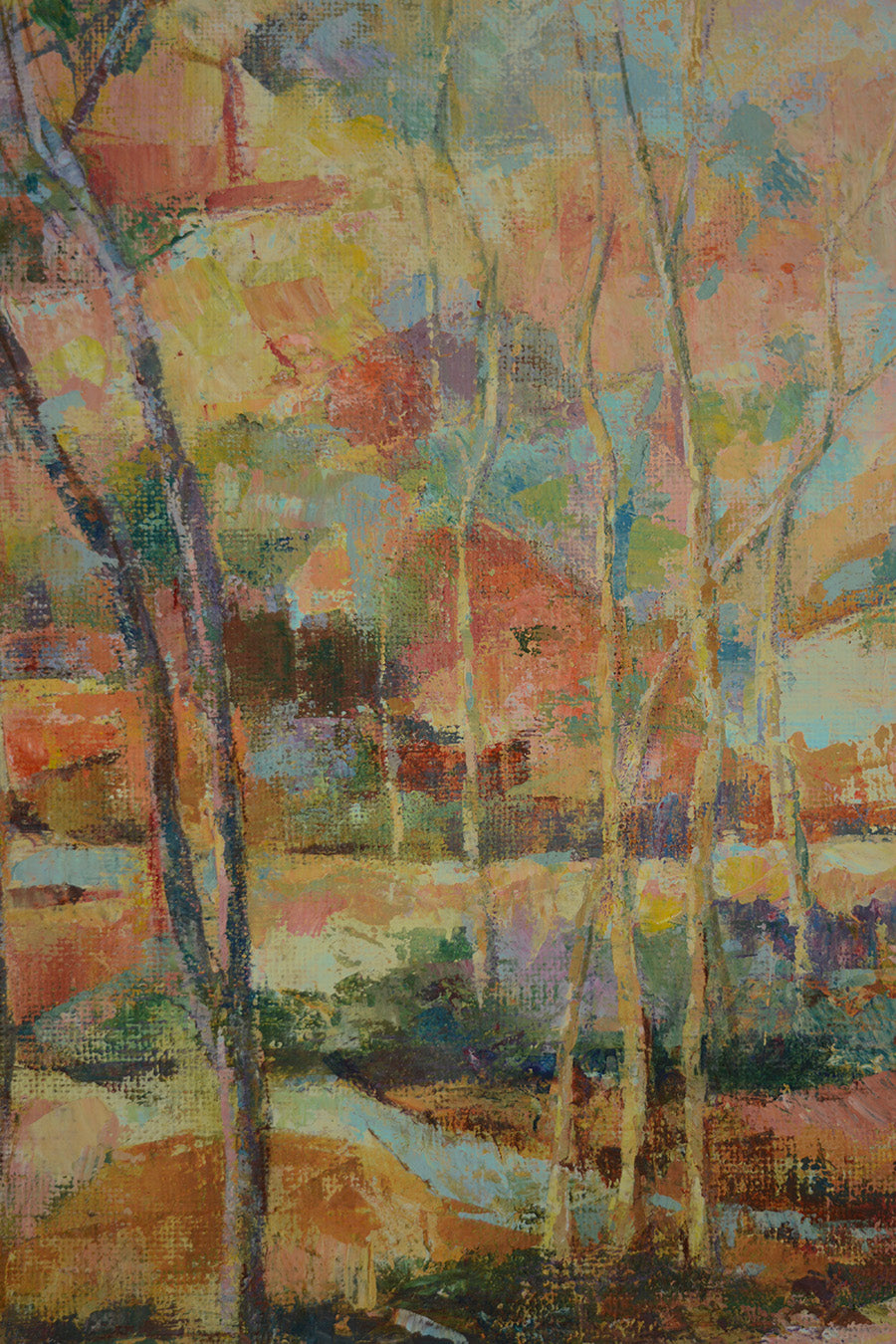 Riverberi al Tramonto